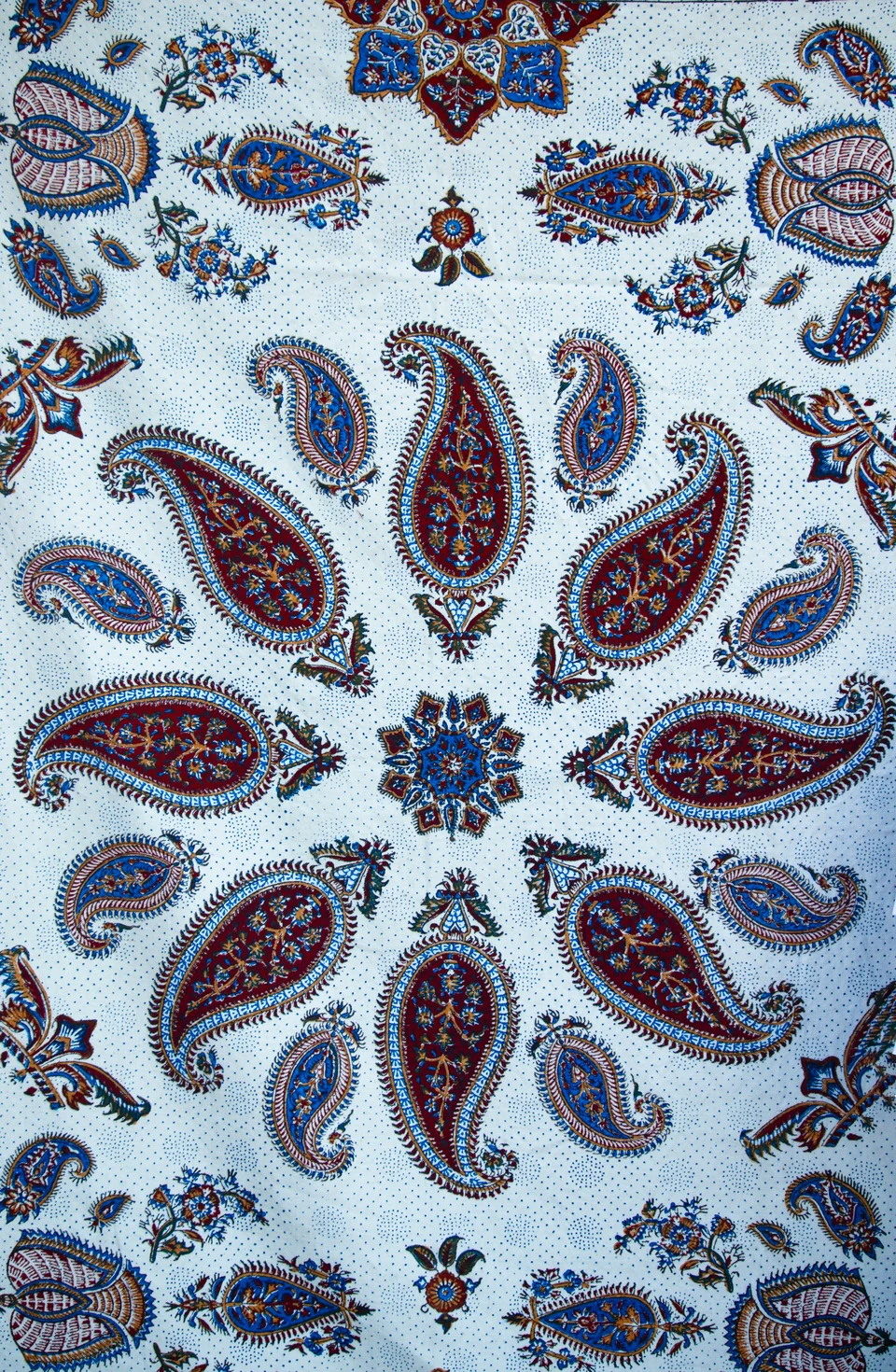 Sina Bahar’s original photograph of an Iranian qalamkar block-printed fabric, before Matelume processing